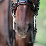 Halter Ego The Hayworth Double - Black Patent Double Bridle - Halter Ego® - Equiluxe Tack