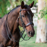 Halter Ego The Hayworth Double - Black Patent Double Bridle - Halter Ego® - Equiluxe Tack