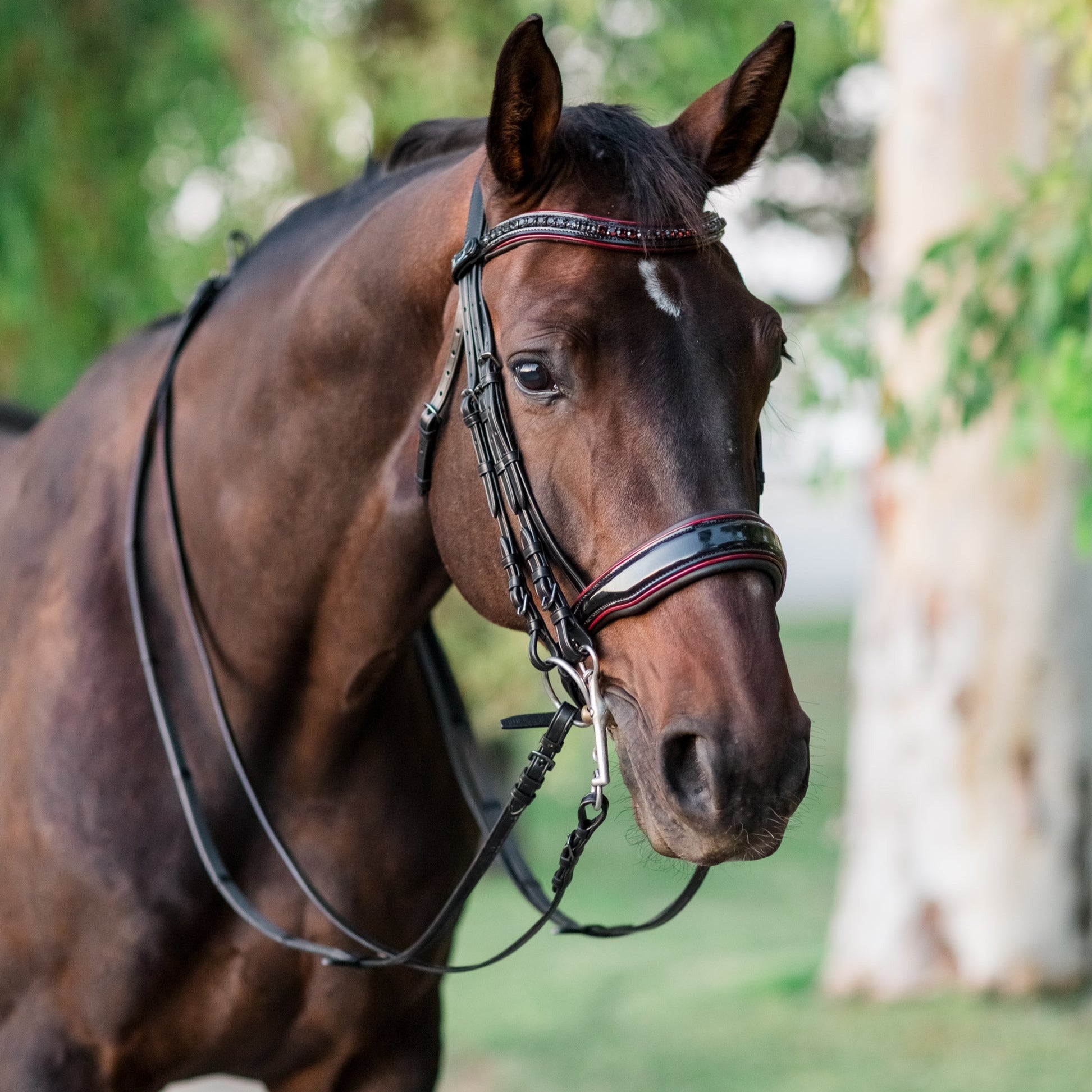Halter Ego The Hayworth Double - Black Patent Double Bridle - Halter Ego® - Equiluxe Tack