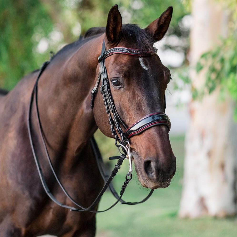 Halter Ego The Hayworth Double - Black Patent Double Bridle - Halter Ego® - Equiluxe Tack