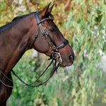 Halter Ego The Hayworth Double - Black Patent Double Bridle - Halter Ego® - Equiluxe Tack