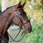 Halter Ego The Hayworth Double - Black Patent Double Bridle - Halter Ego® - Equiluxe Tack