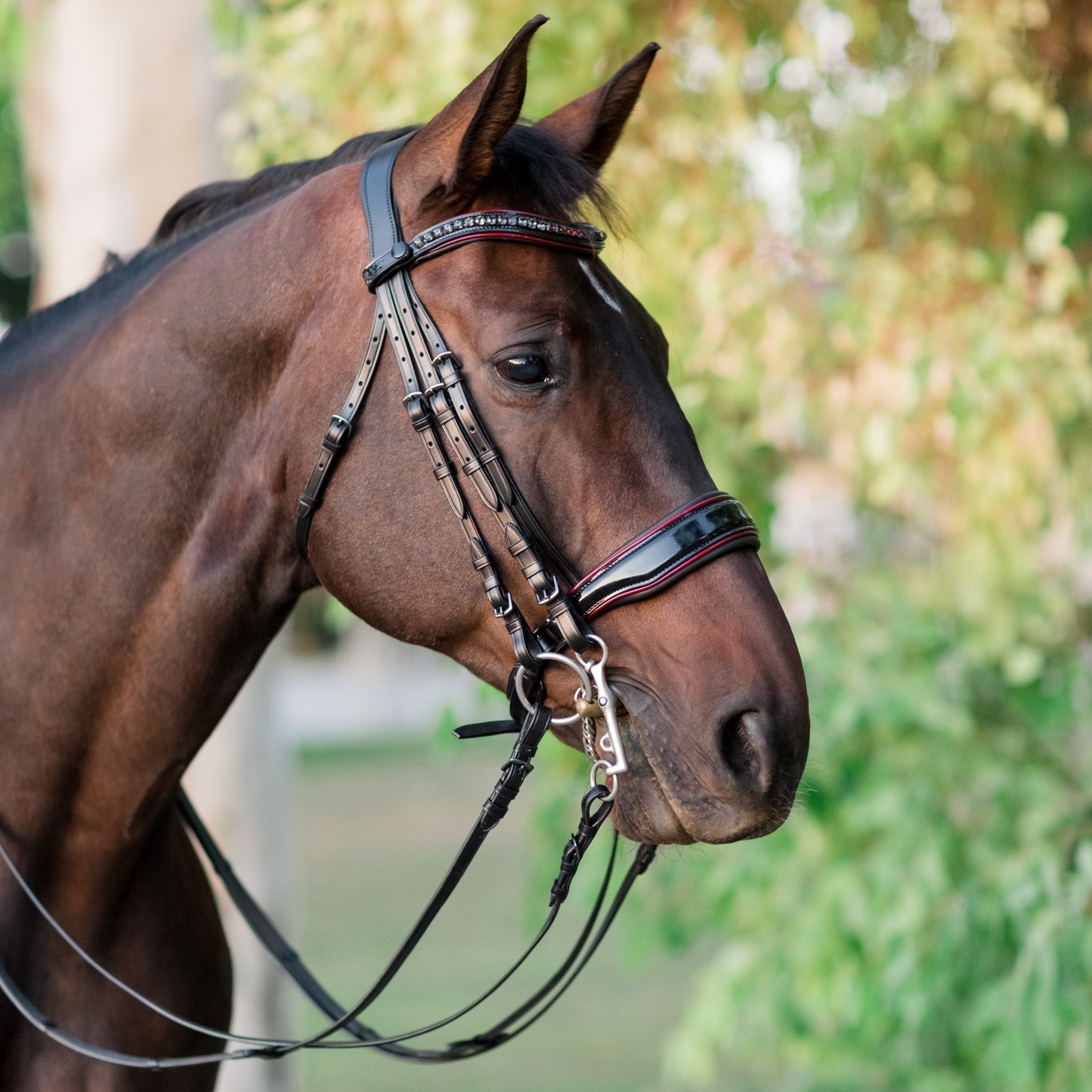 Halter Ego The Hayworth Double - Black Patent Double Bridle - Halter Ego® - Equiluxe Tack