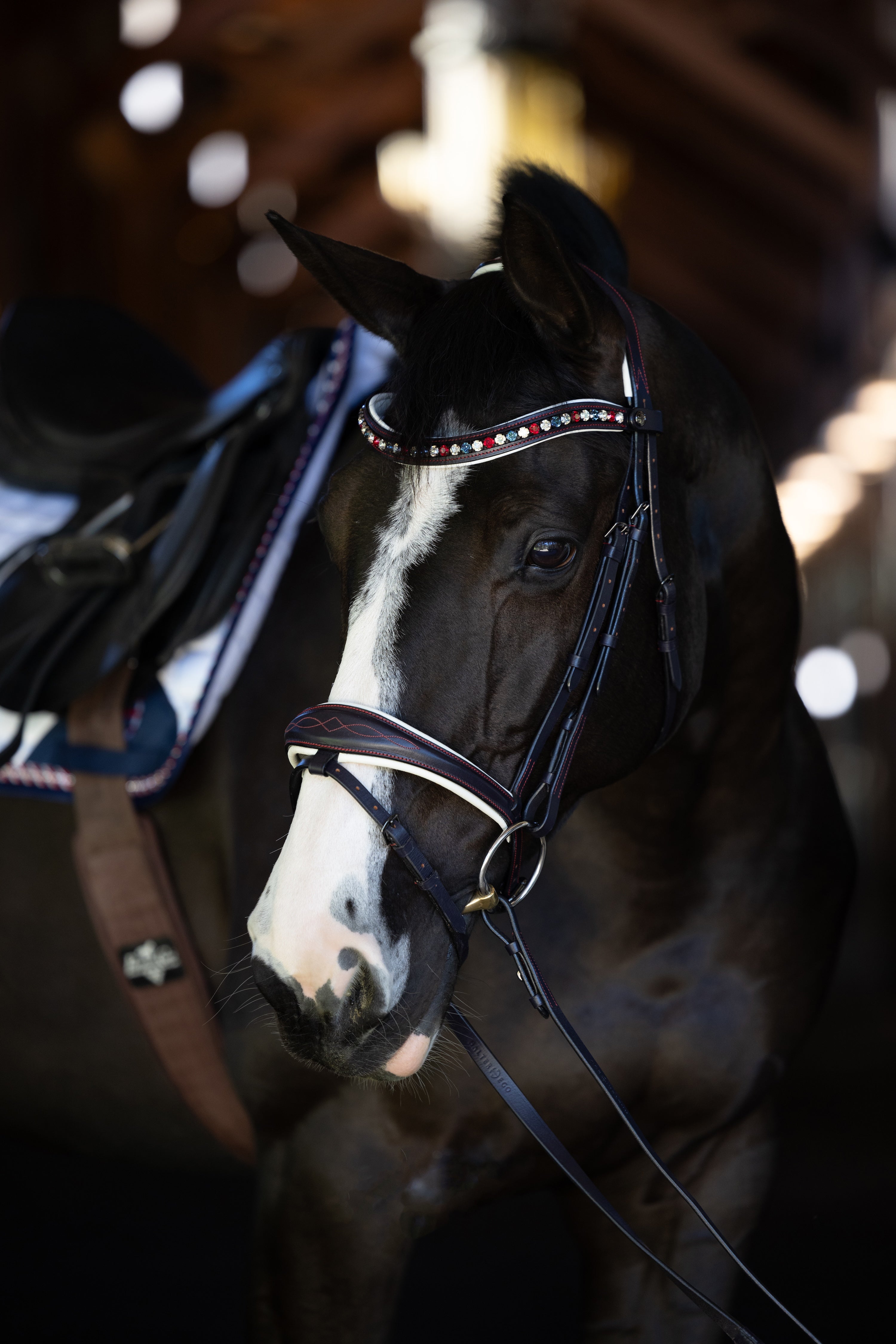 Halter Ego The Liberty Navy Leather Jumper Bridle - Halter Ego® - Equiluxe Tack