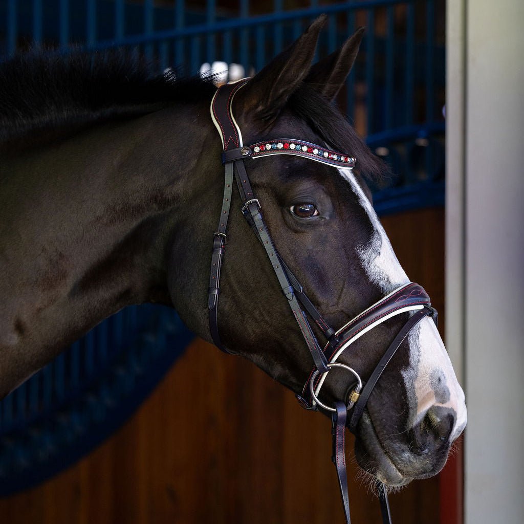Halter Ego The Liberty Navy Leather Jumper Bridle - Halter Ego® - Equiluxe Tack