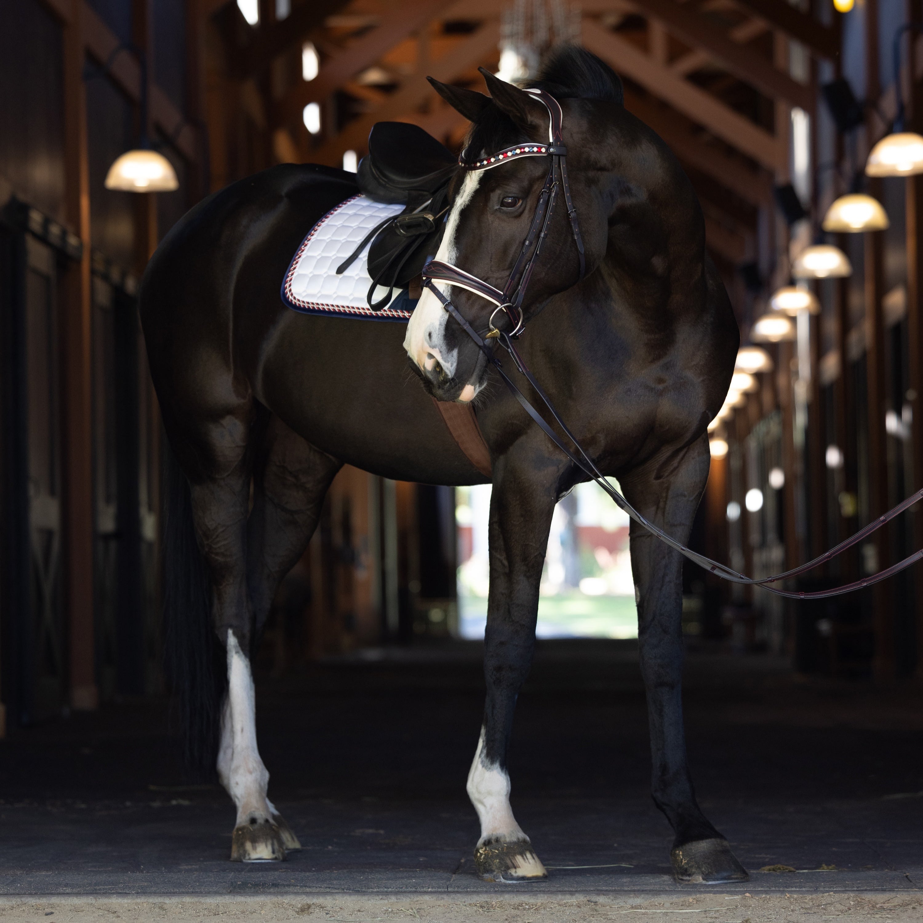 Halter Ego The Liberty Navy Leather Jumper Bridle - Halter Ego® - Equiluxe Tack