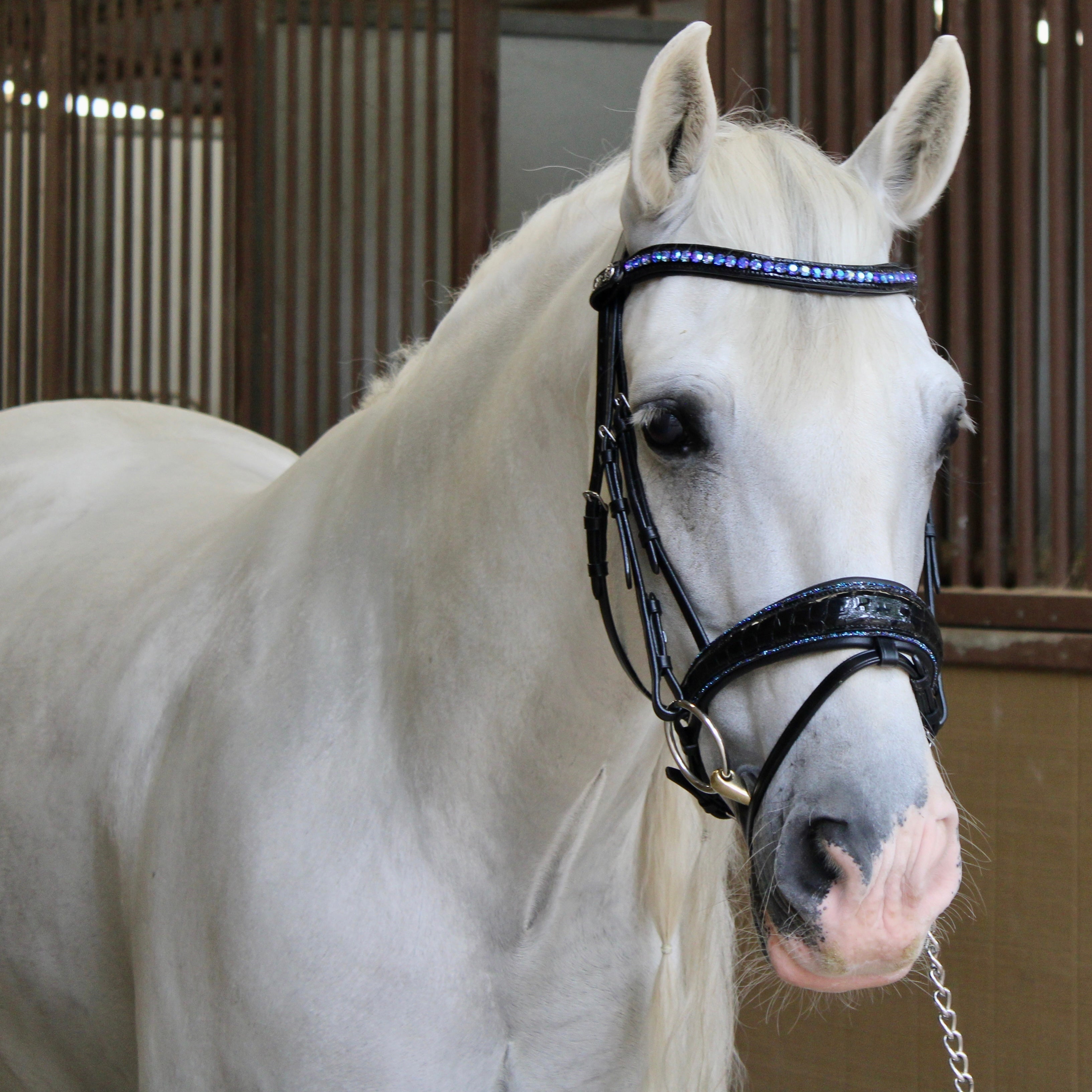 Halter Ego The Sapphire Black Patent Bermuda Blue Rock Crystal Snaffle Bridle - Halter Ego® - Equiluxe Tack