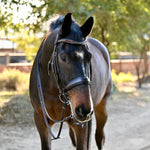Halter Ego The Sarah - Maple Brown Leather Double - Halter Ego® - Equiluxe Tack