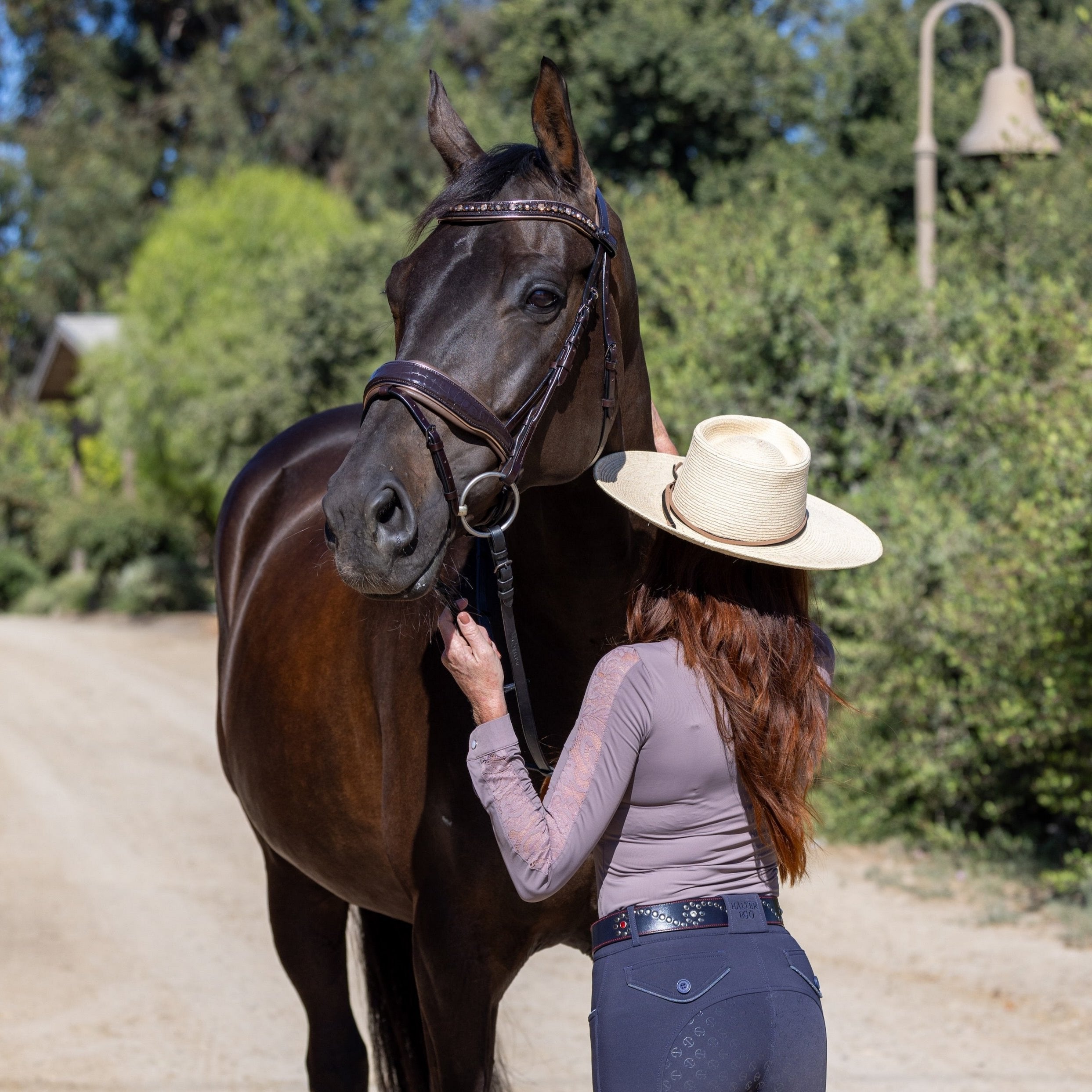 Halter Ego The Sun King Brown Patent Leather Snaffle Bridle - Halter Ego® - Equiluxe Tack
