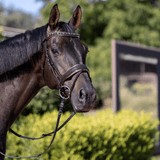 Halter Ego The Sun King Brown Patent Leather Snaffle Bridle - Halter Ego® - Equiluxe Tack