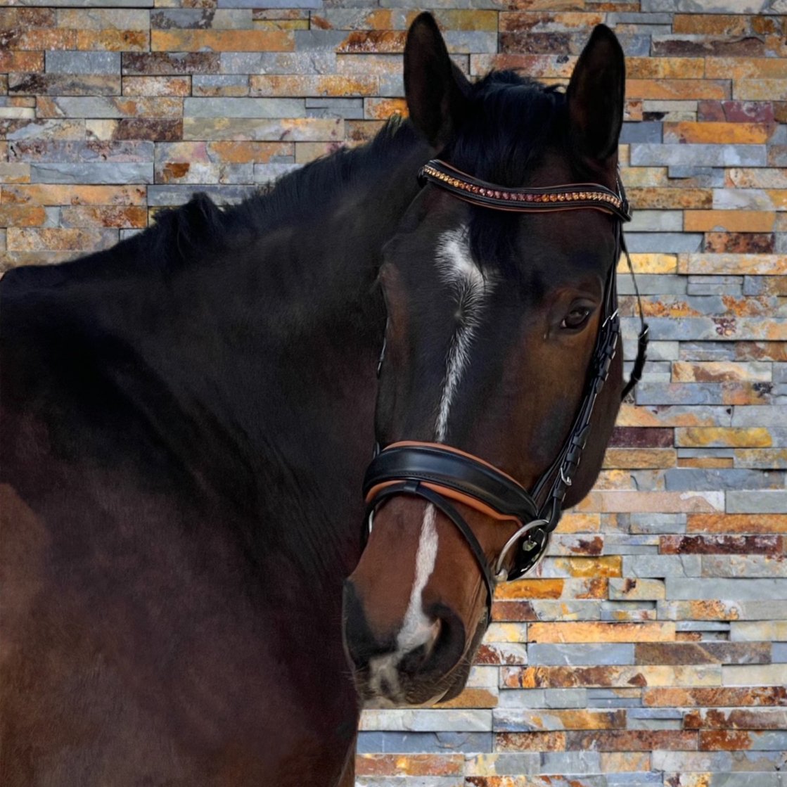 Halter Ego The Tuscany Black Leather Rolled Leather Snaffle Bridle with Flash - Halter Ego® - Equiluxe Tack