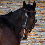 Halter Ego The Tuscany Black Leather Rolled Leather Snaffle Bridle with Flash - Halter Ego® - Equiluxe Tack