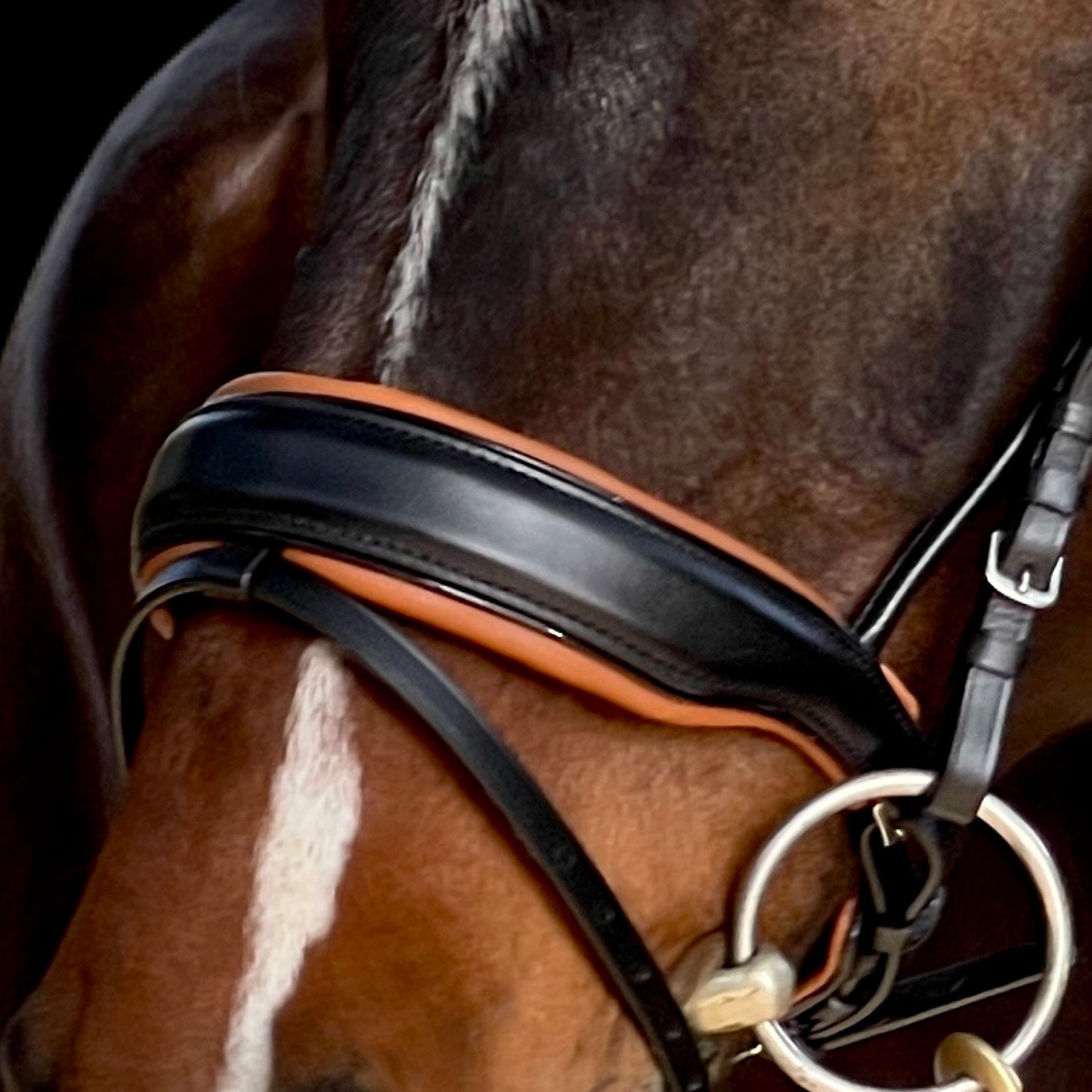 Halter Ego The Tuscany Black Leather Rolled Leather Snaffle Bridle with Flash - Halter Ego® - Equiluxe Tack