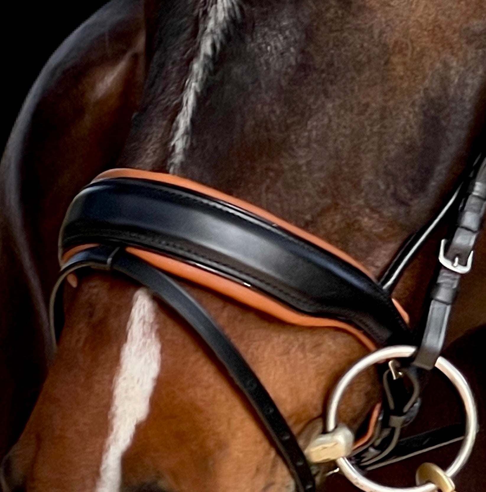 Halter Ego The Tuscany Black Leather Rolled Leather Snaffle Bridle with Flash - Halter Ego® - Equiluxe Tack