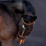 Halter Ego The Tuscany Black Leather Rolled Leather Snaffle Bridle with Flash - Halter Ego® - Equiluxe Tack