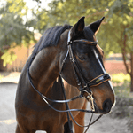 Halter Ego The Tuscany Black Patent Leather Double Bridle - Equiluxe Tack