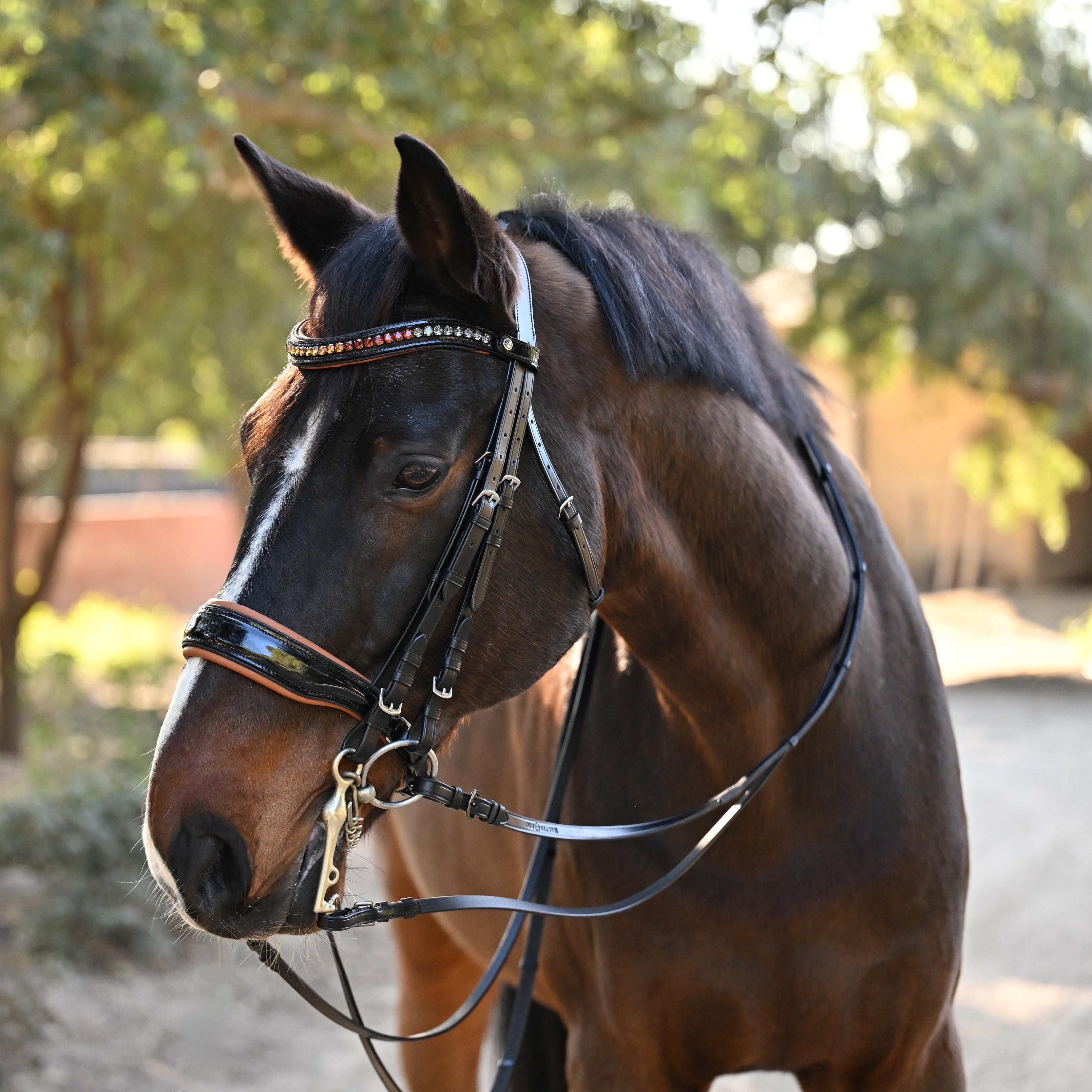 Halter Ego The Tuscany Black Patent Leather Double Bridle - Equiluxe Tack