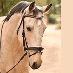 Halter Ego The Vienna Brown Patent Leather Snaffle Bridle with Bronze Golden Sparkle Piping - Equiluxe Tack