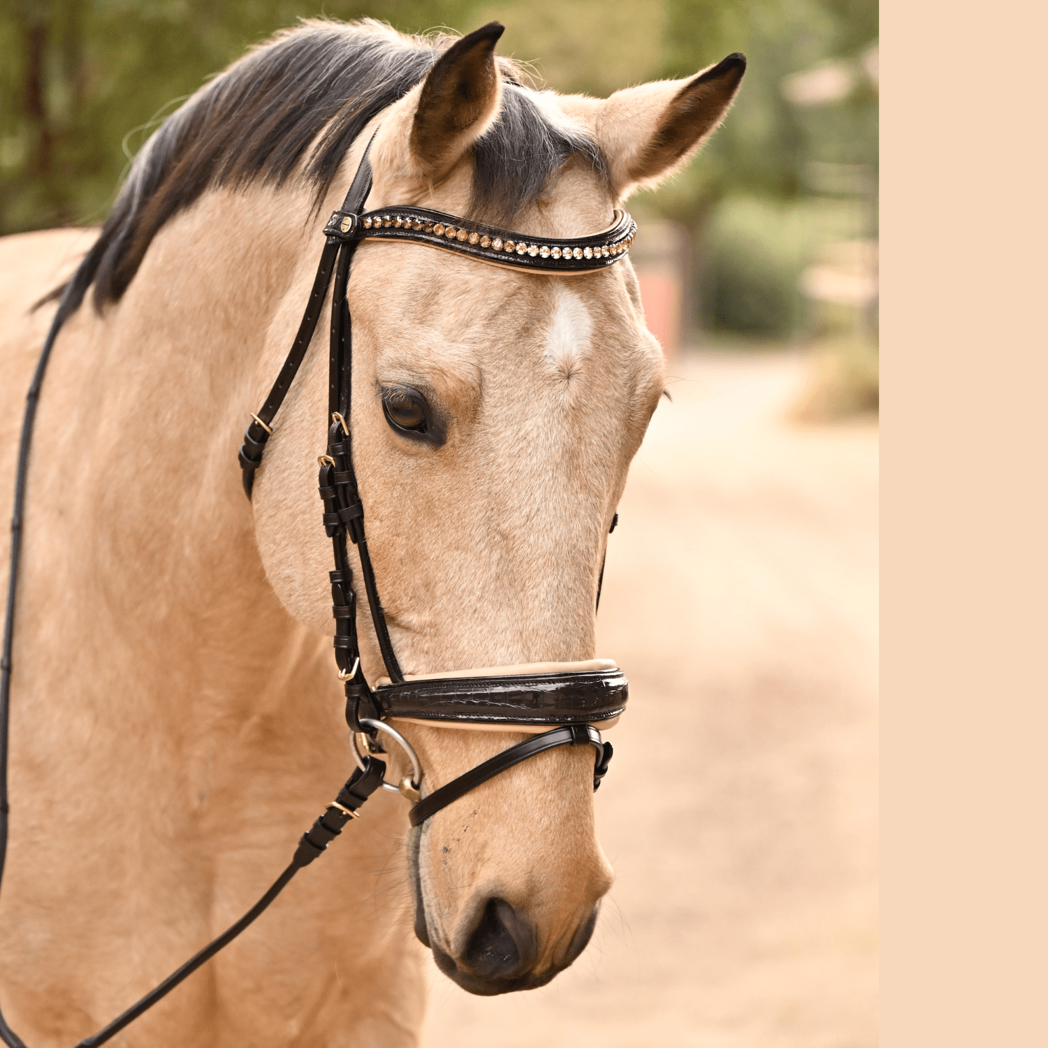 Halter Ego The Vienna Brown Patent Leather Snaffle Bridle with Bronze Golden Sparkle Piping - Equiluxe Tack