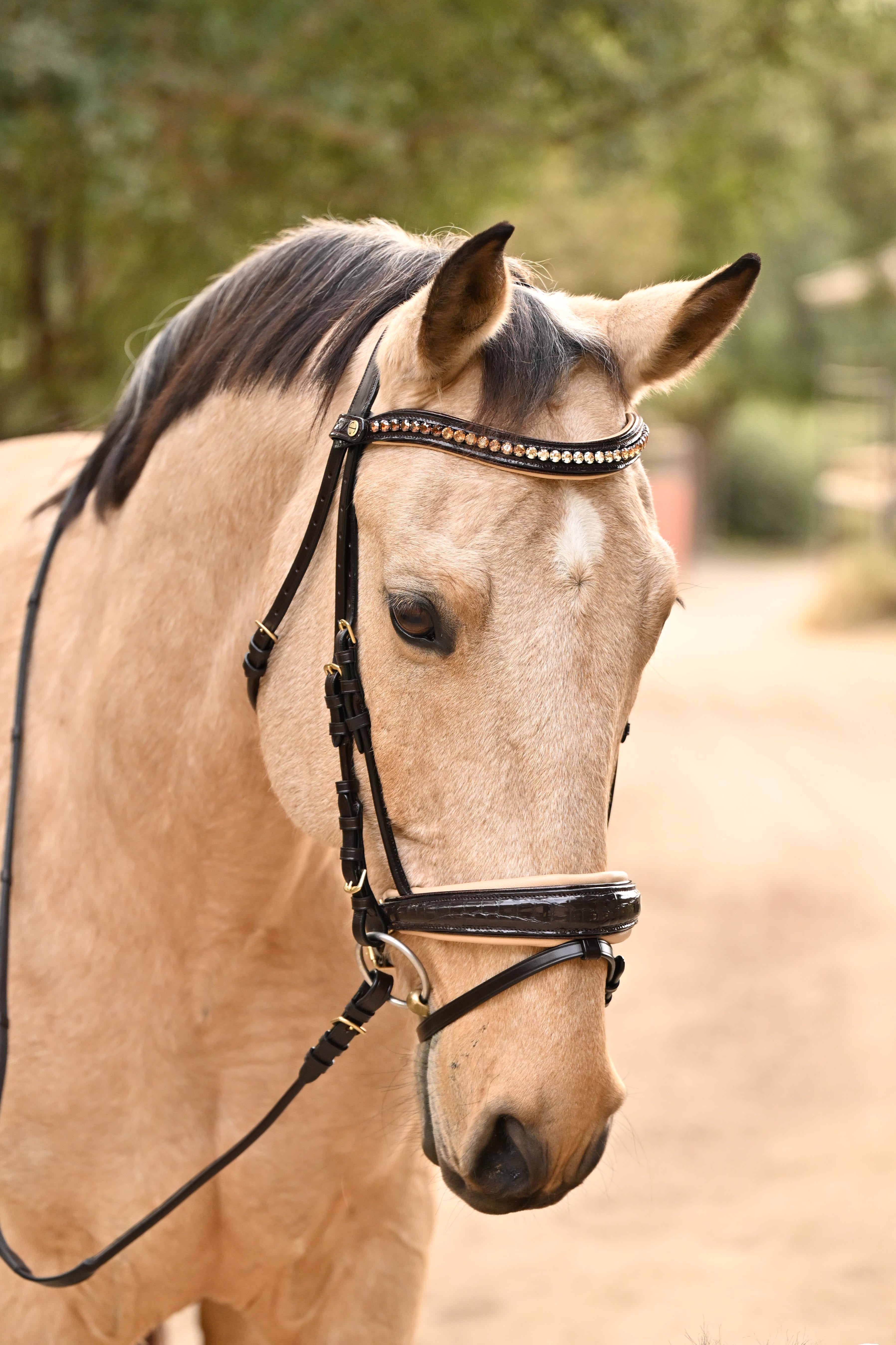 Halter Ego The Vienna Brown Patent Leather Snaffle Bridle with Bronze Golden Sparkle Piping - Equiluxe Tack