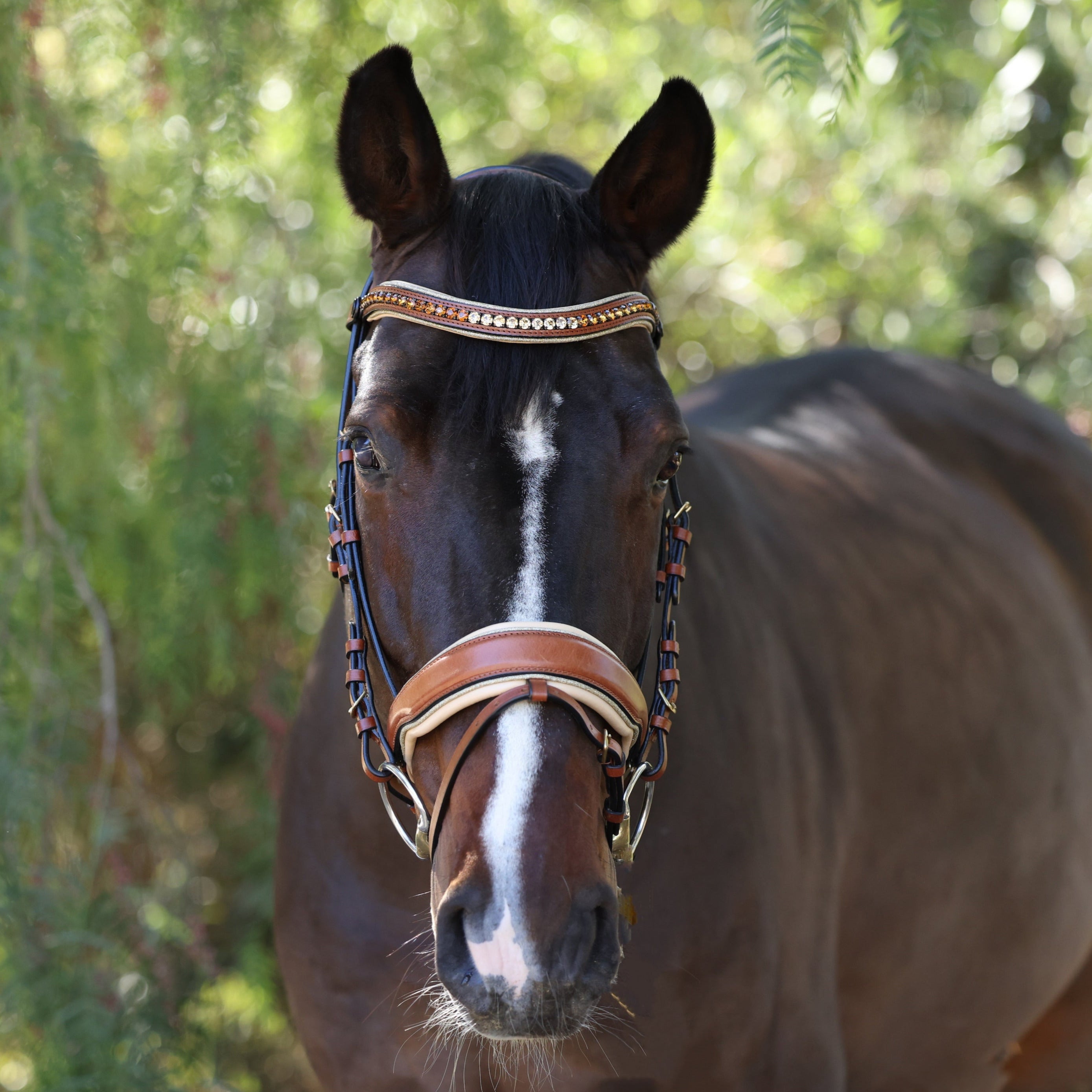 Halter Ego The Willow - Cognac Leather Snaffle Bridle - Halter Ego® - Equiluxe Tack