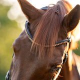 Halter Ego Triomphe Black Leather & Cognac Leather Snaffle Bridle - Halter Ego® - Equiluxe Tack