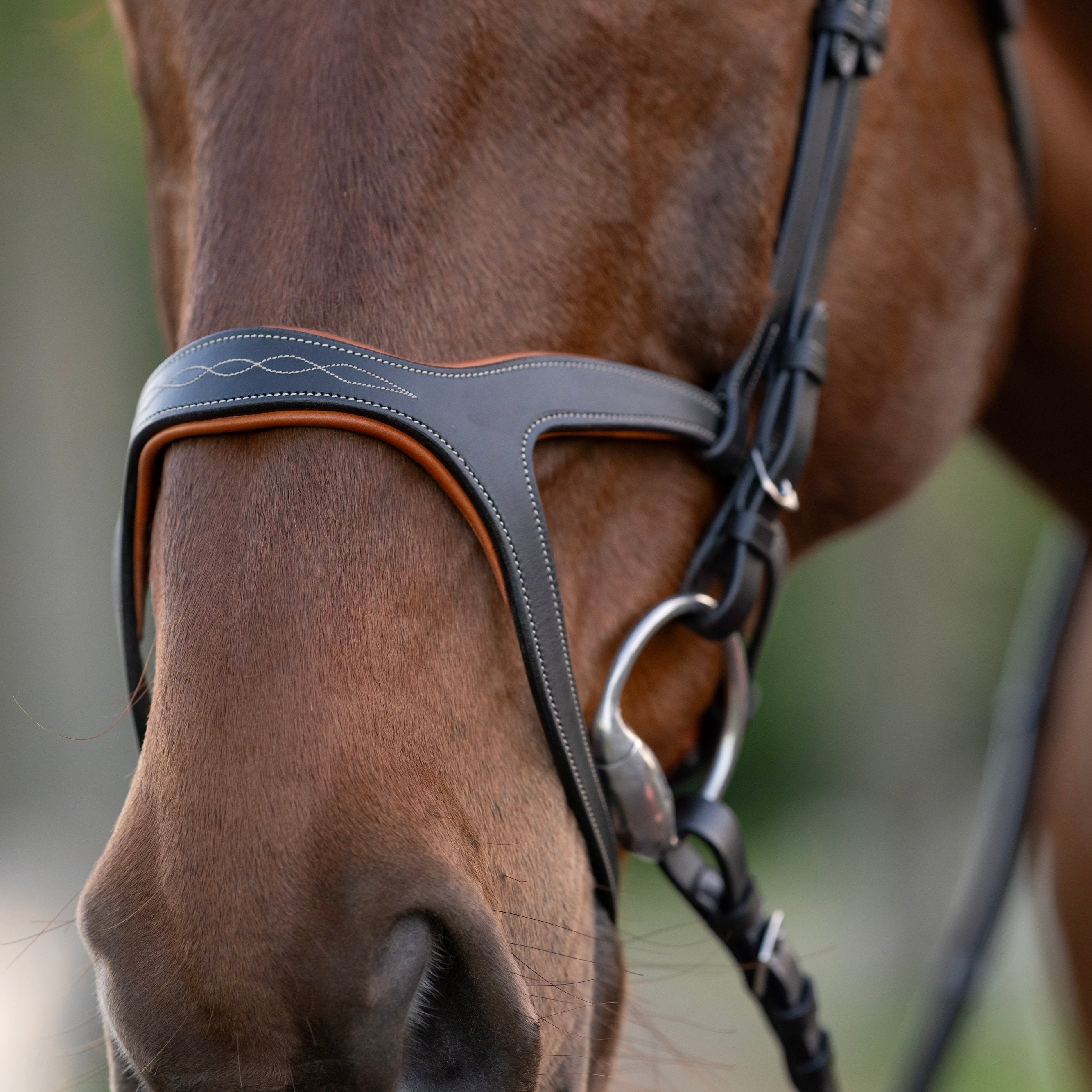 Halter Ego Triomphe Black Leather & Cognac Leather Snaffle Bridle - Halter Ego® - Equiluxe Tack