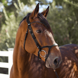 Halter Ego Triomphe Black Leather & Cognac Leather Snaffle Bridle - Halter Ego® - Equiluxe Tack
