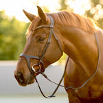 Halter Ego Triomphe Black Leather & Cognac Leather Snaffle Bridle - Halter Ego® - Equiluxe Tack