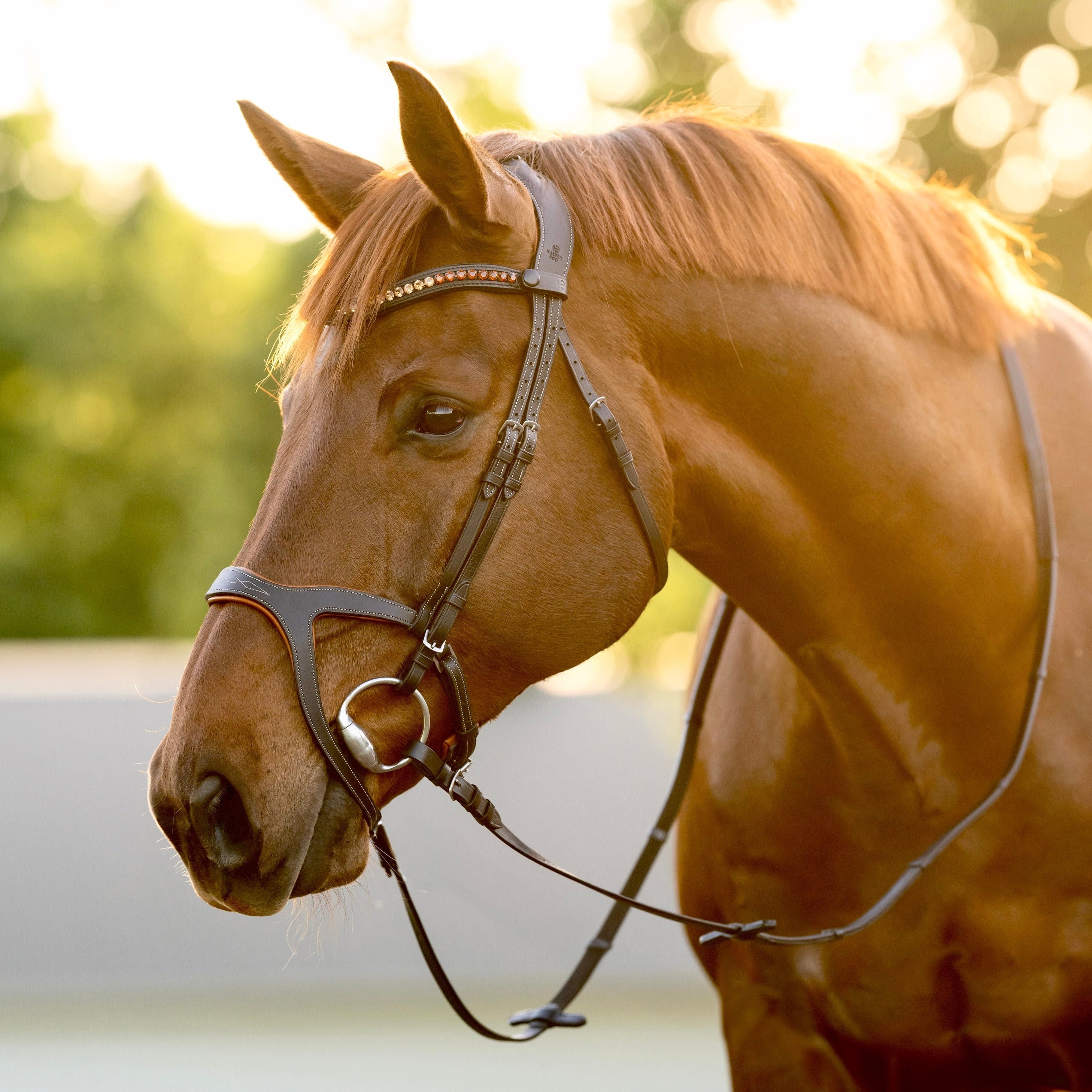 Halter Ego Triomphe Black Leather & Cognac Leather Snaffle Bridle - Halter Ego® - Equiluxe Tack