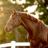 Halter Ego Triomphe Black Leather & Cognac Leather Snaffle Bridle - Halter Ego® - Equiluxe Tack