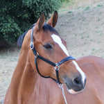 Halter Ego Tuscany Black Leather Halter with Cognac Padding - Halter Ego® - Equiluxe Tack