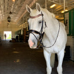 Halter Ego Ultimate Rose Gold Black Patent Snaffle Bridle - Halter Ego® - Equiluxe Tack