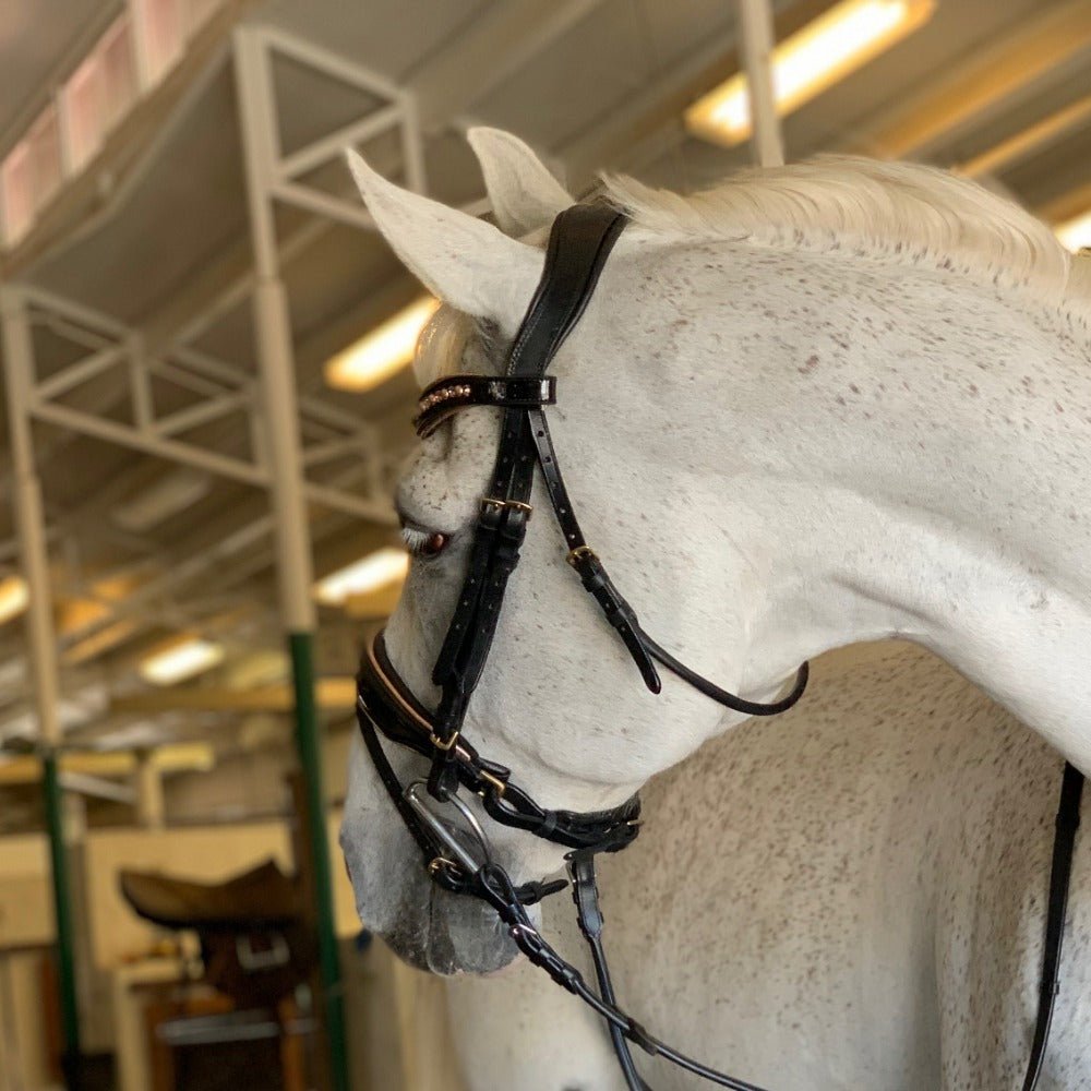 Halter Ego Ultimate Rose Gold Black Patent Snaffle Bridle - Halter Ego® - Equiluxe Tack