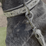 Halter Ego Venetian Leather Dog Collar - Equiluxe Tack
