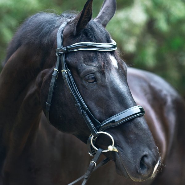 Halter Ego® 'Wellington' Black Patent Leather Snaffle Bridle Without Flash - Halter Ego® - Equiluxe Tack