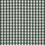 Hannah Childs Kid's Lauryn Gingham Short Sleeve Show Shirt - Equiluxe Tack