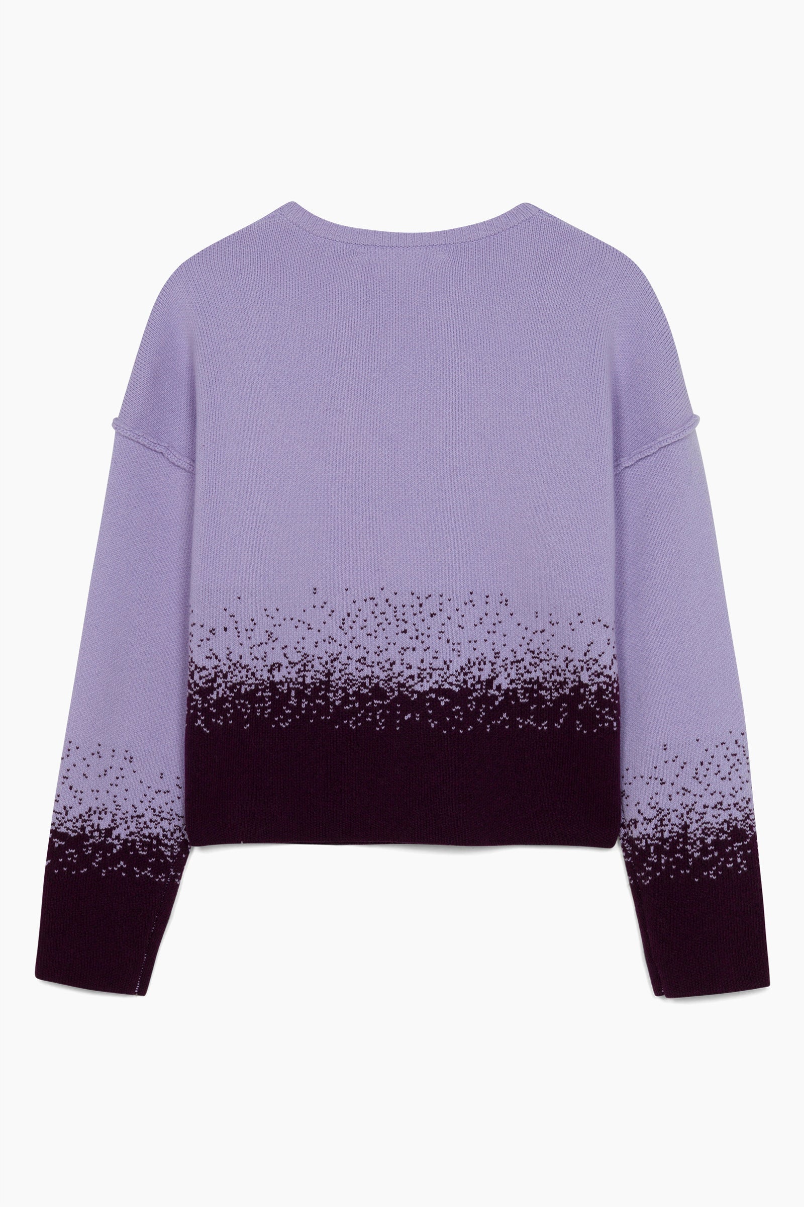 Hannah Childs Wren Ombre Crew Neck Sweater - Equiluxe Tack