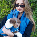 Harcour Bernie Dog Coat - Harcour USA - Equiluxe Tack