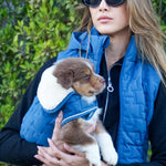 Harcour Bernie Dog Coat - Harcour USA - Equiluxe Tack