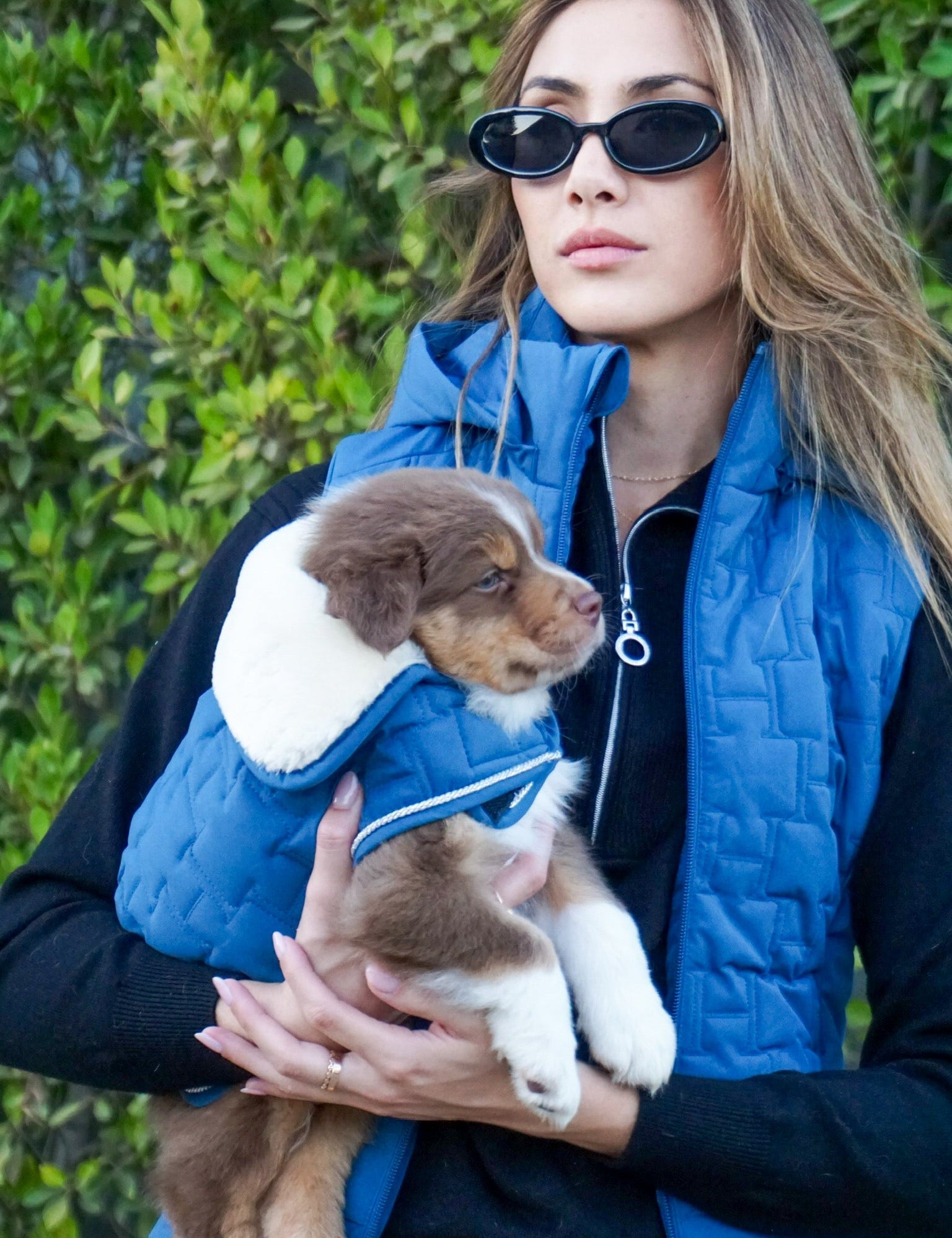 Harcour Bernie Dog Coat - Harcour USA - Equiluxe Tack