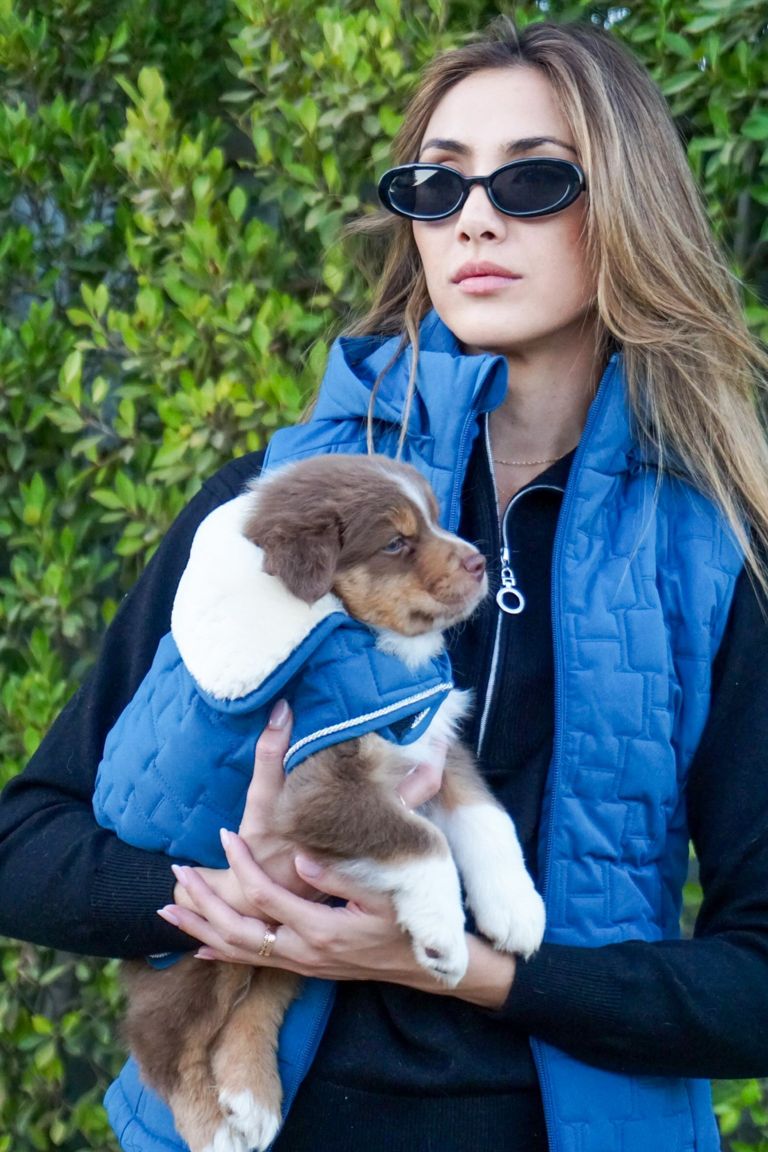 Harcour Bernie Dog Coat - Harcour USA - Equiluxe Tack