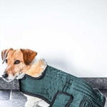 Harcour Code Dog Blanket Coat - Harcour USA - Equiluxe Tack