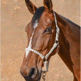 Harcour Hacker Halter & Lead Rope - Harcour USA - Equiluxe Tack