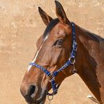Harcour Hacker Halter & Lead Rope - Harcour USA - Equiluxe Tack