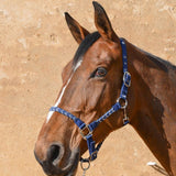 Harcour Hacker Halter & Lead Rope - Harcour USA - Equiluxe Tack