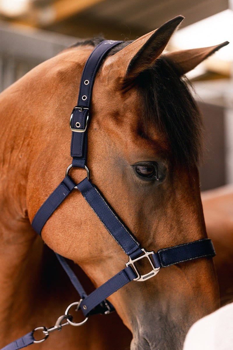 Harcour Hansey Horse Halter with Lead Rope - Harcour USA - Equiluxe Tack