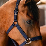 Harcour Hansey Horse Halter with Lead Rope - Harcour USA - Equiluxe Tack