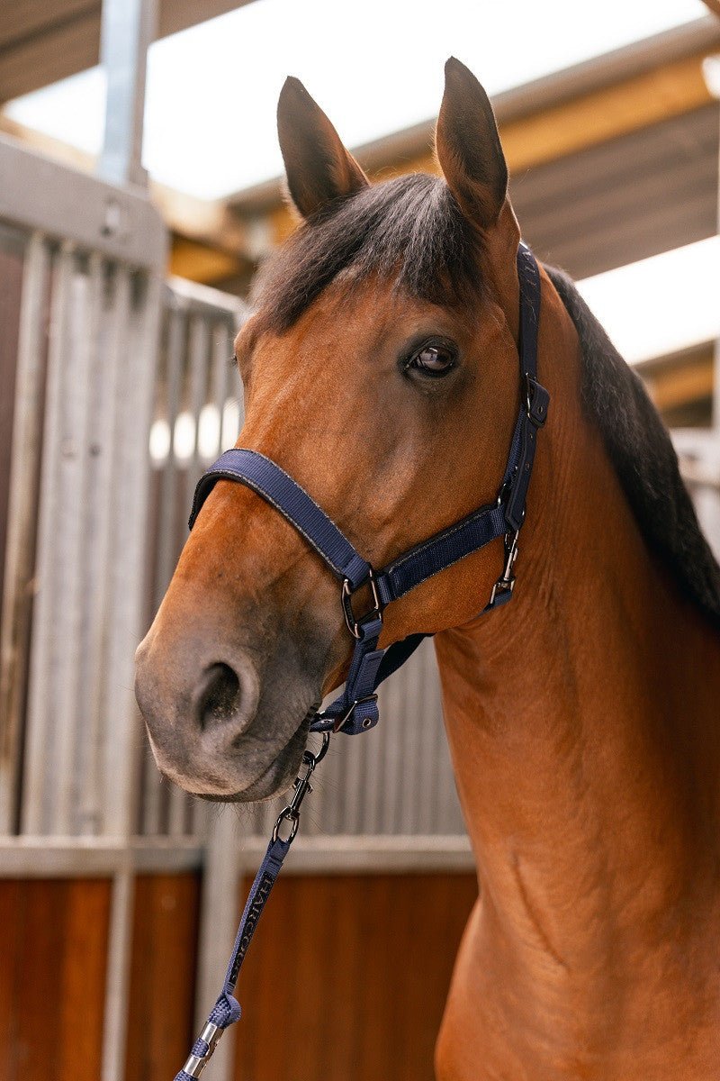 Harcour Hansey Horse Halter with Lead Rope - Harcour USA - Equiluxe Tack