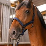 Harcour Hansey Horse Halter with Lead Rope - Harcour USA - Equiluxe Tack
